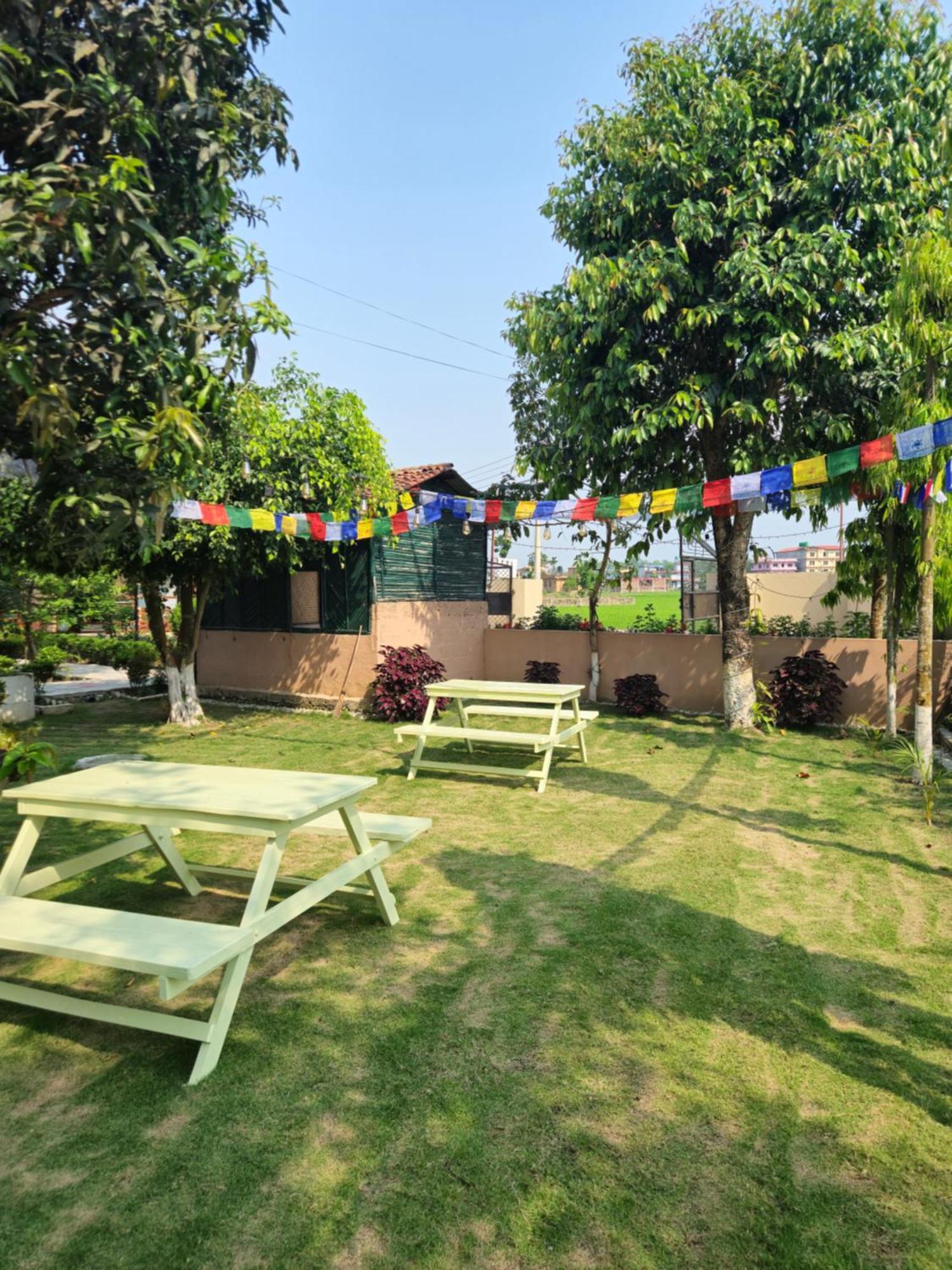 Hotel Tree Tops- A Serene Friendly Hotel In Sauraha Csitvan Kültér fotó