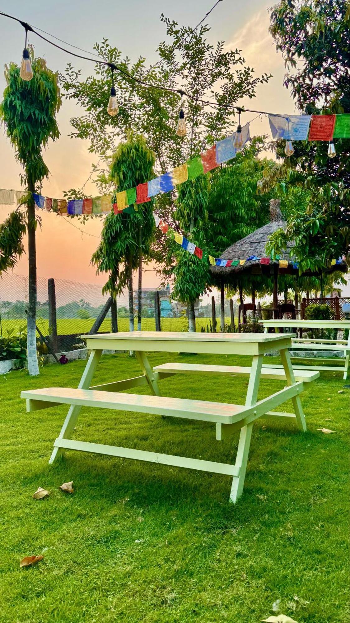Hotel Tree Tops- A Serene Friendly Hotel In Sauraha Csitvan Kültér fotó